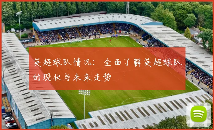 英超球队情况：全面了解英超球队的现状与未来走势