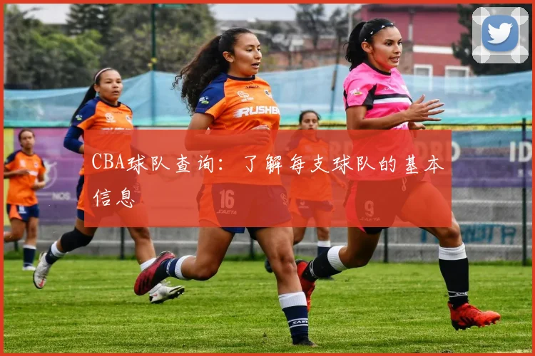 CBA球队查询:了解每支球队的基本信息