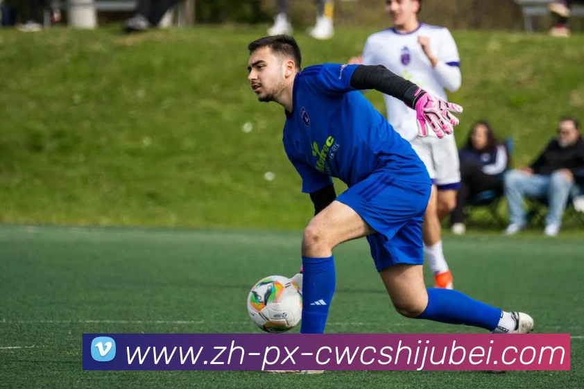 世界杯买球服务体系