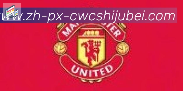 世界杯买球合作伙伴